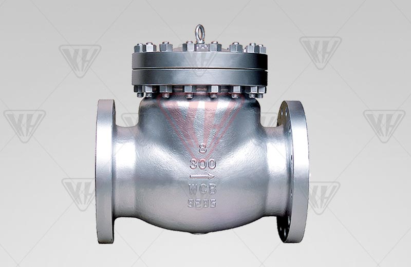 American standard spin check valve