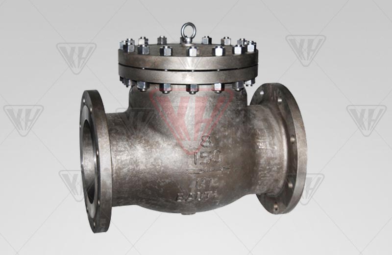 Titanium check valve